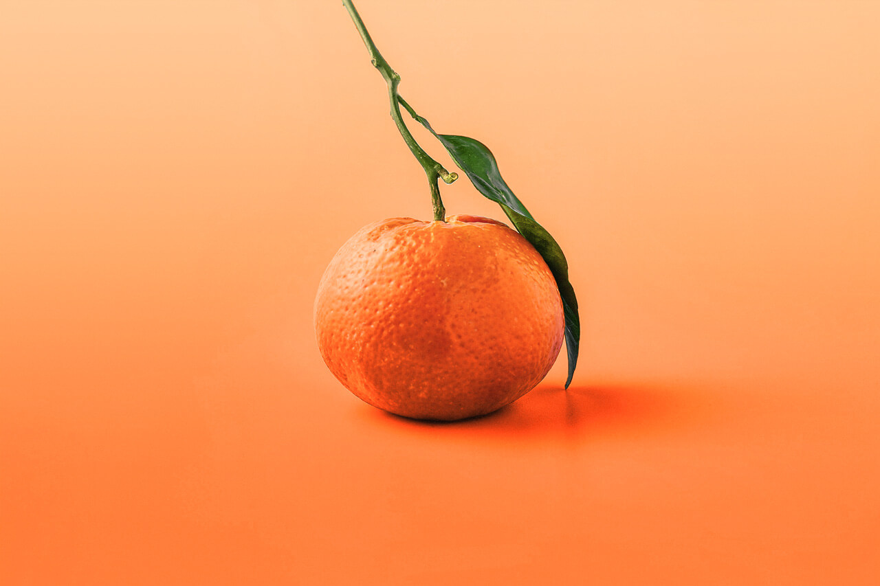 Orange auf orangem Hintergrund