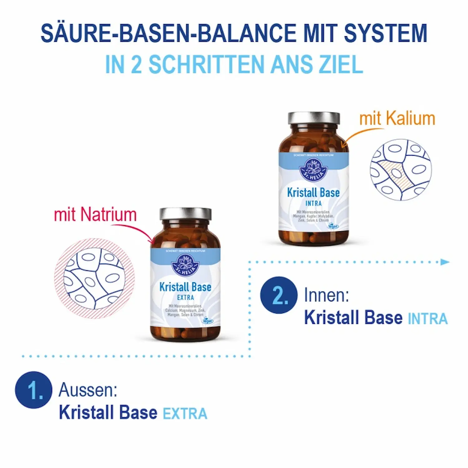Kristall Base EXTRA, 120 Kapseln