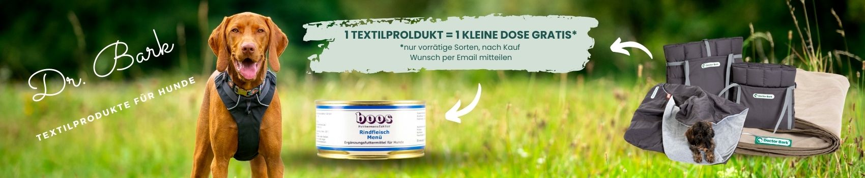 Gras, Pflanze, Hund, Säugetier, Haustier