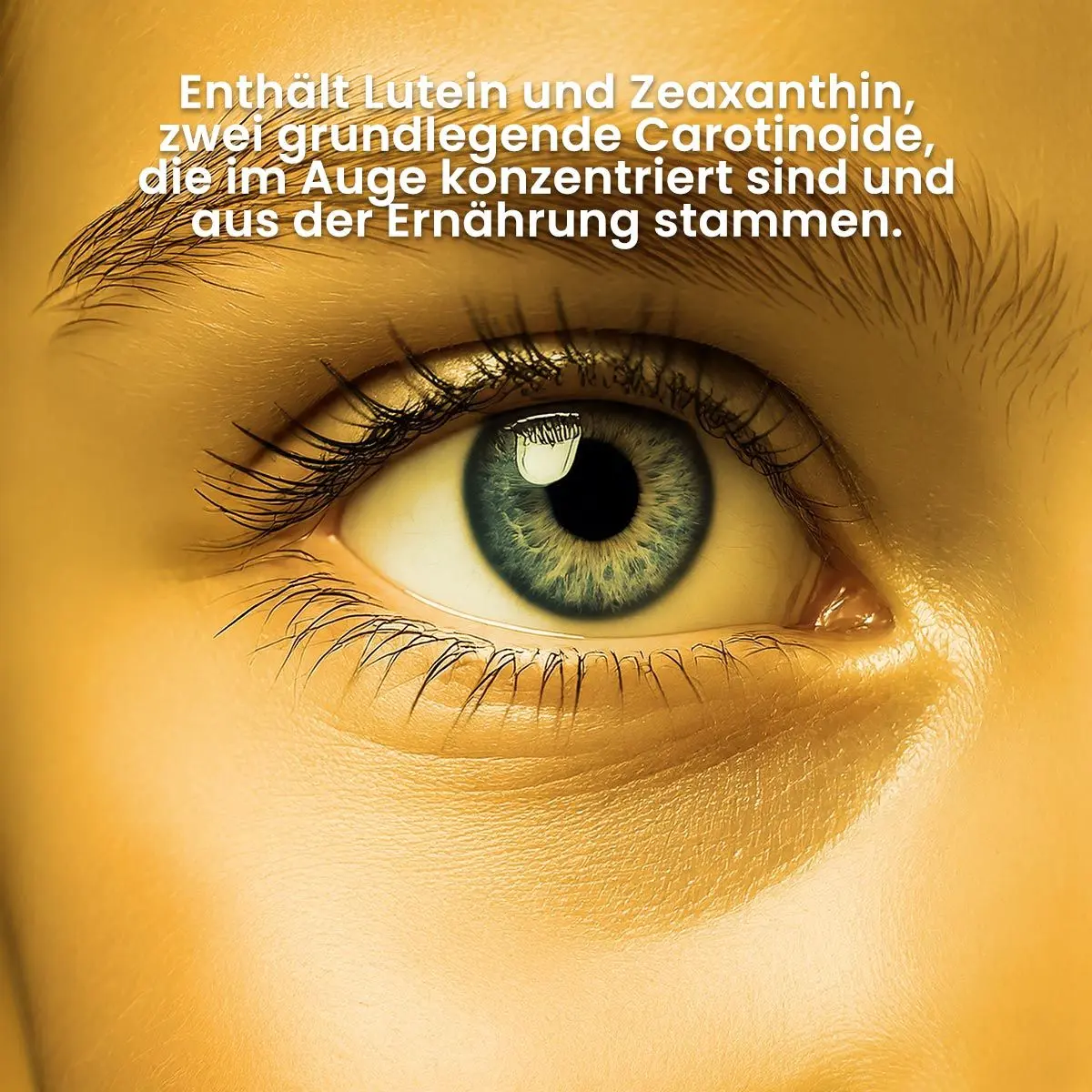 Lutein & Zeaxanthin – Carotinoide für die Augen, 120 VegeCaps