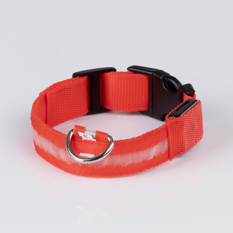 Illuminated collar red