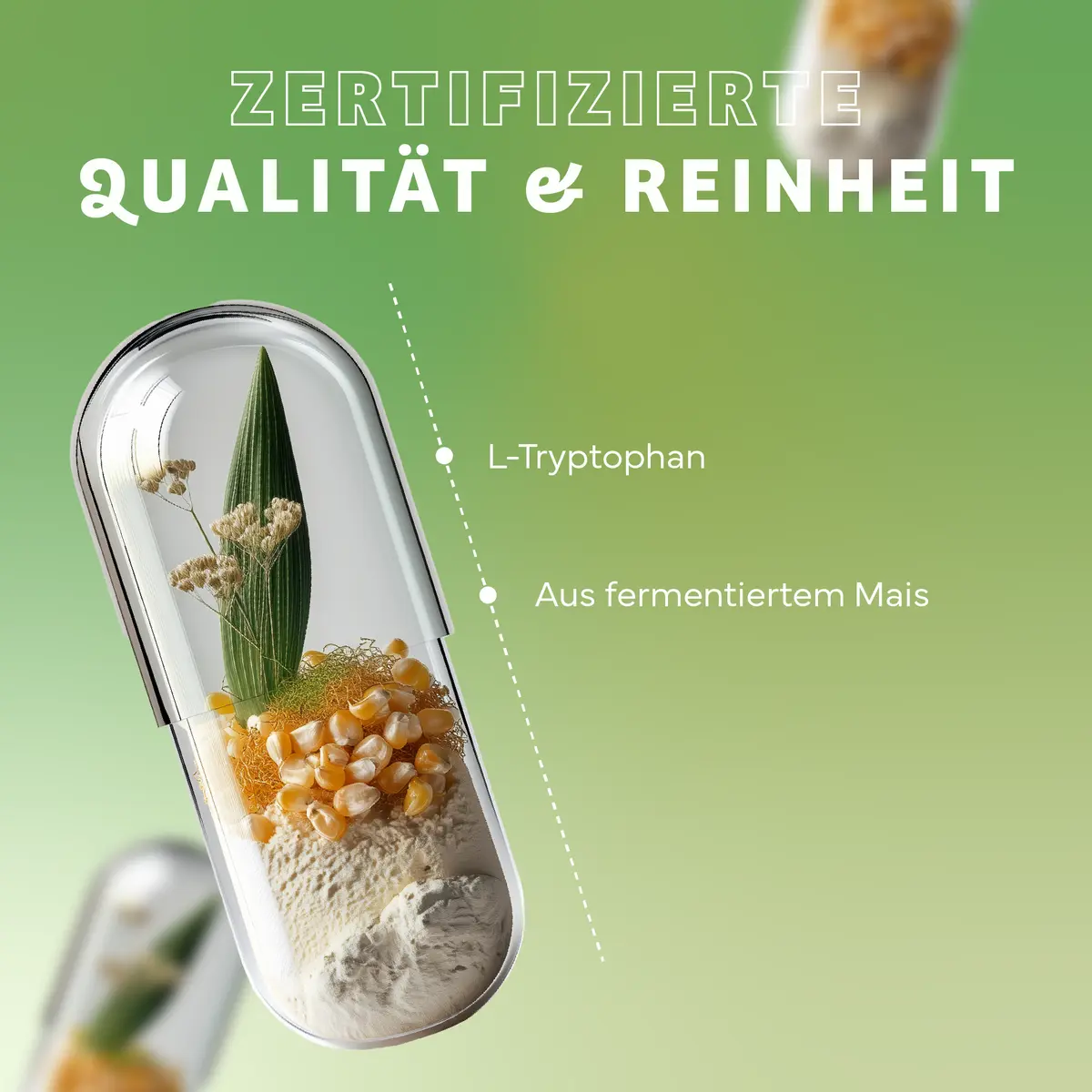 Echt Vital L-Tryptophan, 60 Kapseln L-Tyrosin Aminosäuren Tyrosin Aminos EAN: 4260635732950