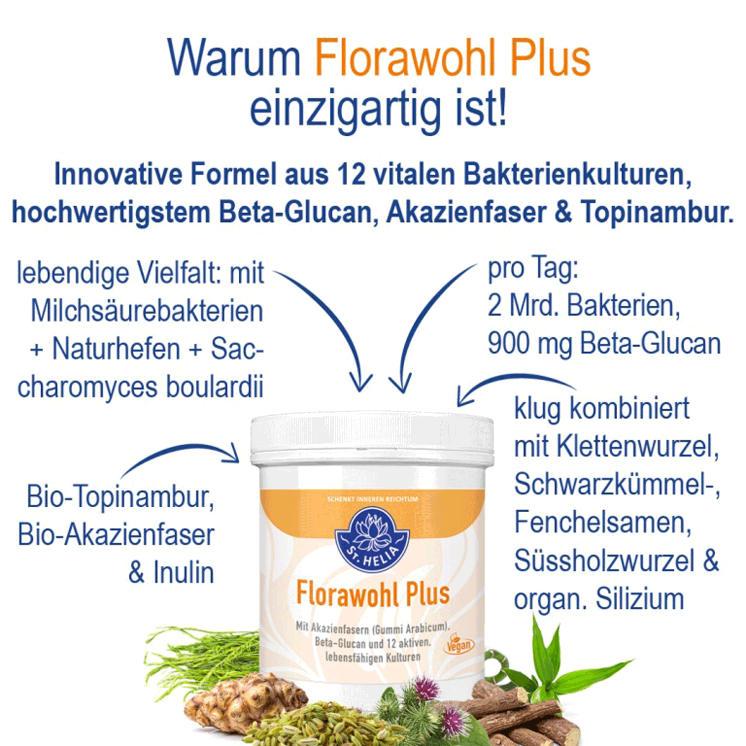 St. Helia Florawohl Plus, 240 g Pulver Darmbakterien EAN: 4260296431049