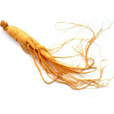 Ginseng Ginseng