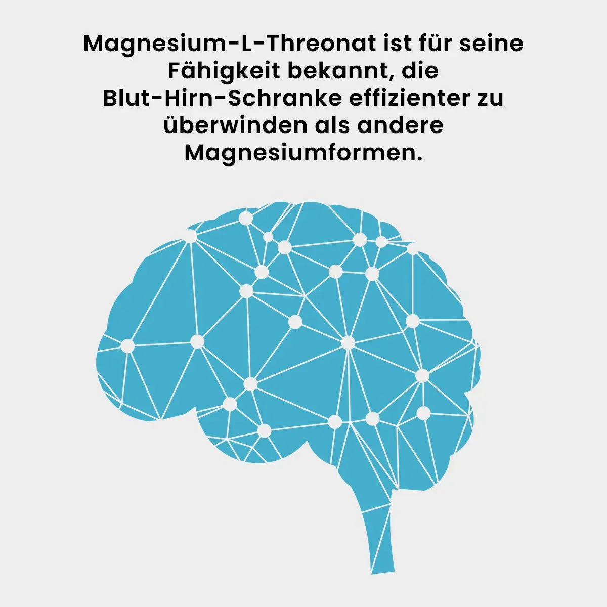 Brain-Mag, 120 VegeCaps