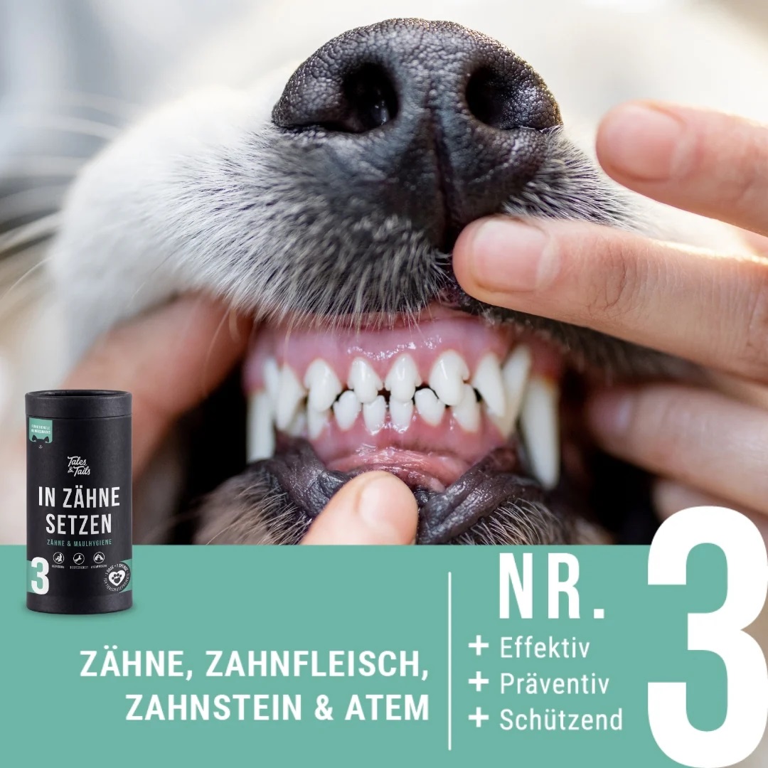 In Zähne setzen Zahnpflege-Snack für Hunde, 325 g = 320 Snacks Kopie