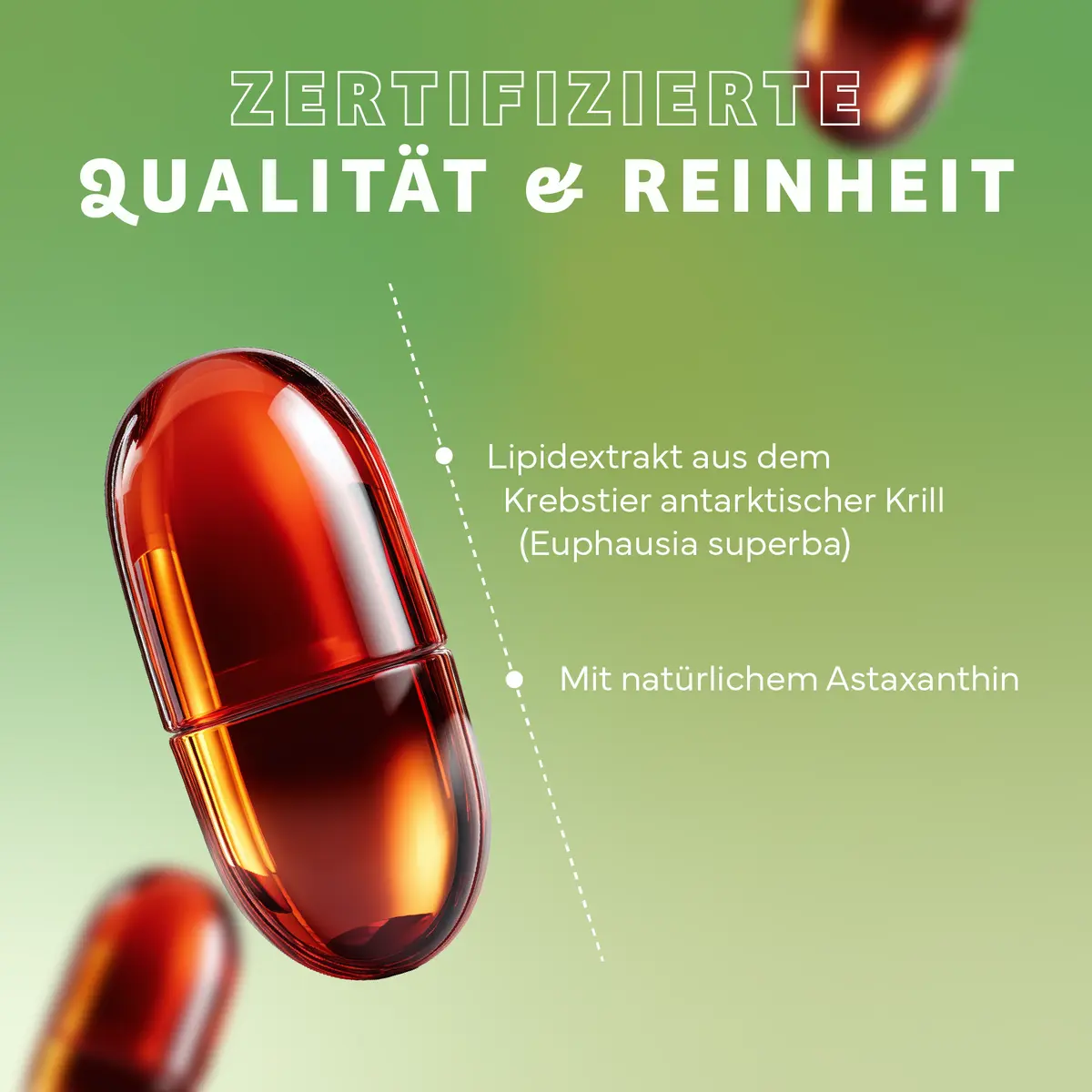 Echt Vital Krillöl, 60 Kapseln  EAN: 4260635732929