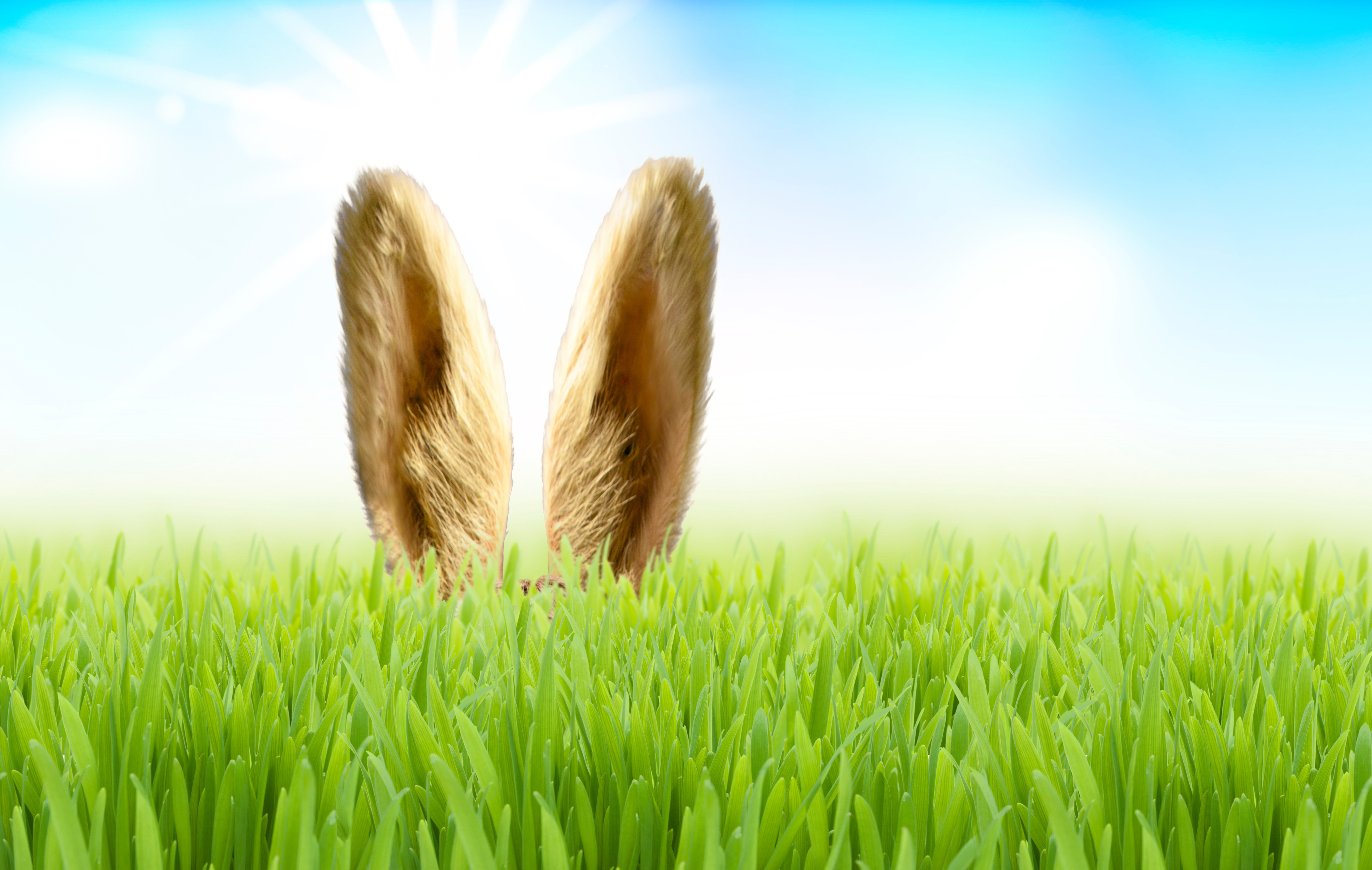 Geringe Versandverzögerung nach den Feiertagen