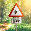 Zecken