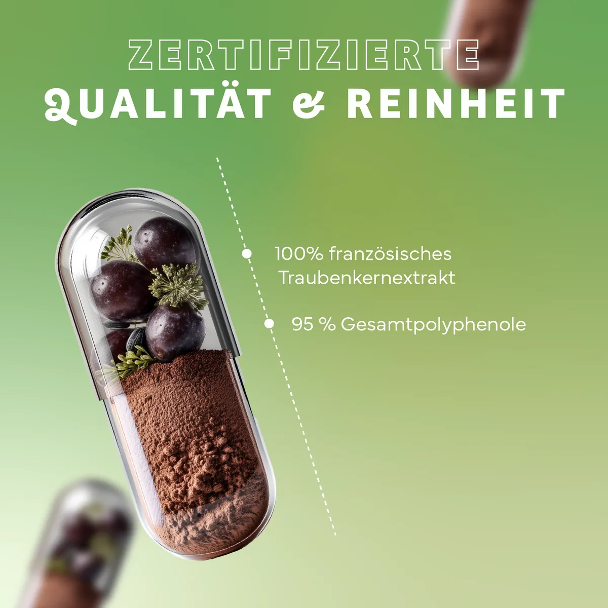 OPC 200 mg, 60 Kapseln
