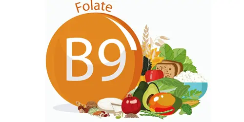 Folsaeure Icon