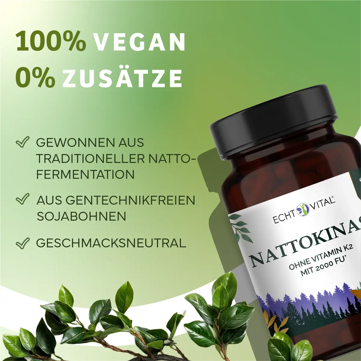 Echt Vital Nattokinase Kapseln 2.000 FU, 90 Kapseln  EAN: 4260635732639