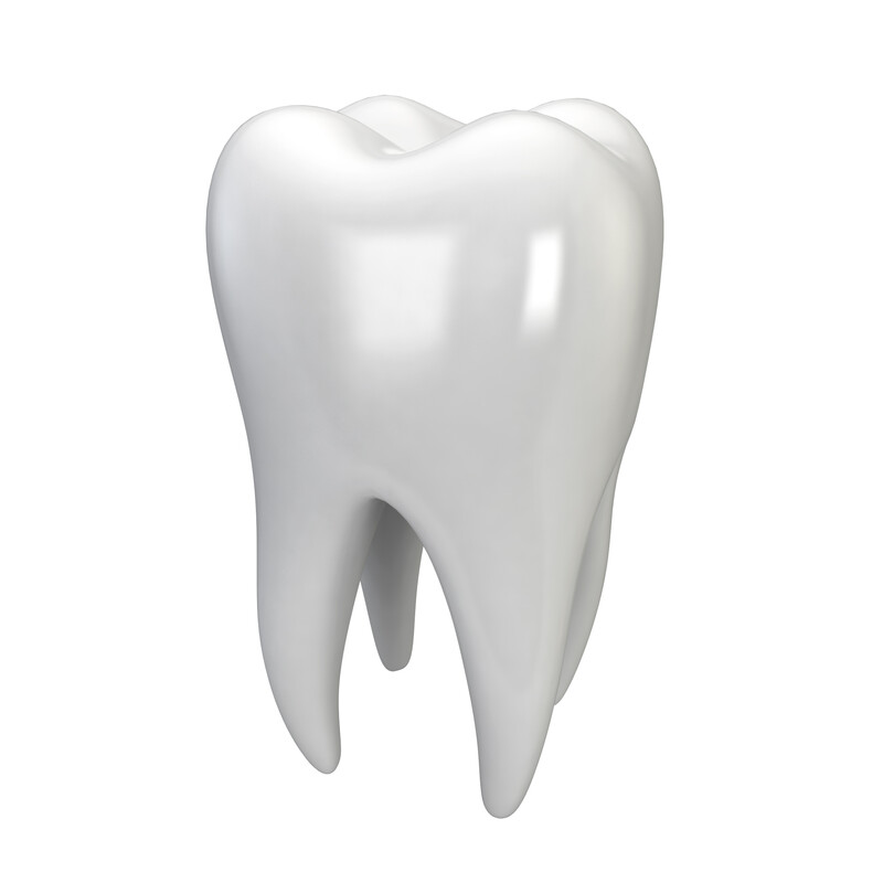 Zähne / Zahnfleisch