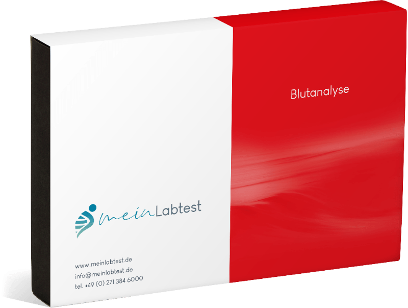 Vitamin B12 (Bluttest)