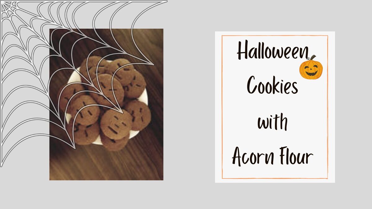 Lucia Danišová, Yogalehrerin und Stillberaterin Halloween Cookies aus Eichelmehl  EAN: