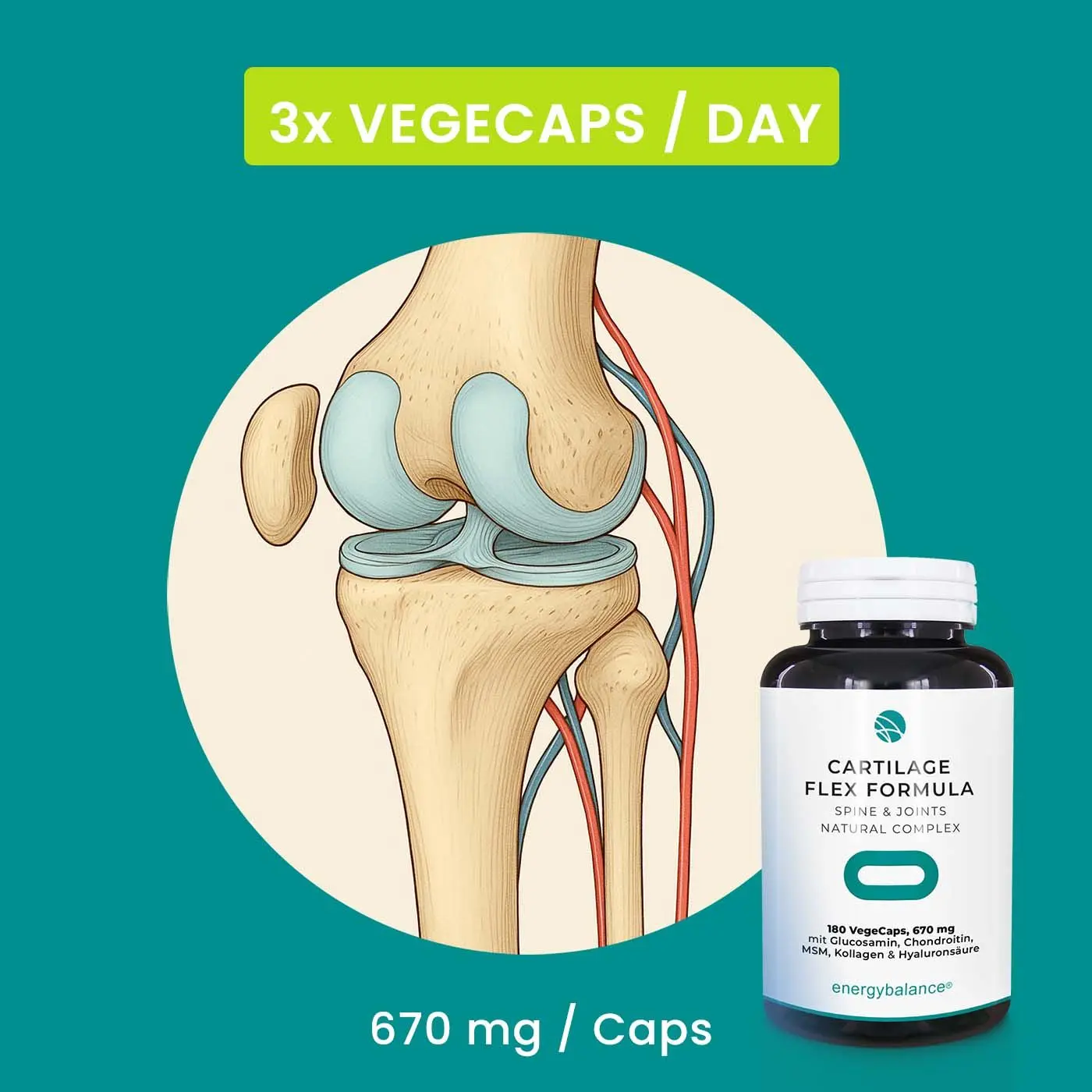 Cartilage Flex Formula con Glucosamina, Condroitina, Collagene, Acido ialuronico e MSM, 180 capsule