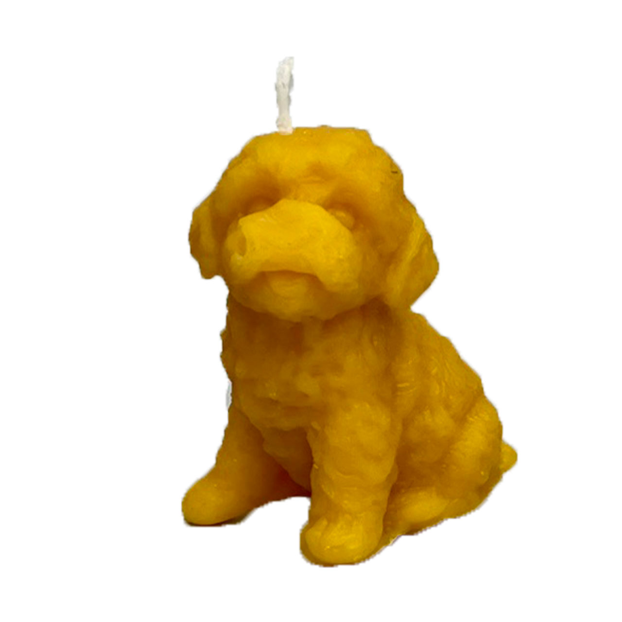 Beeswax candle "Lagotto Romagnolo", 6 cm