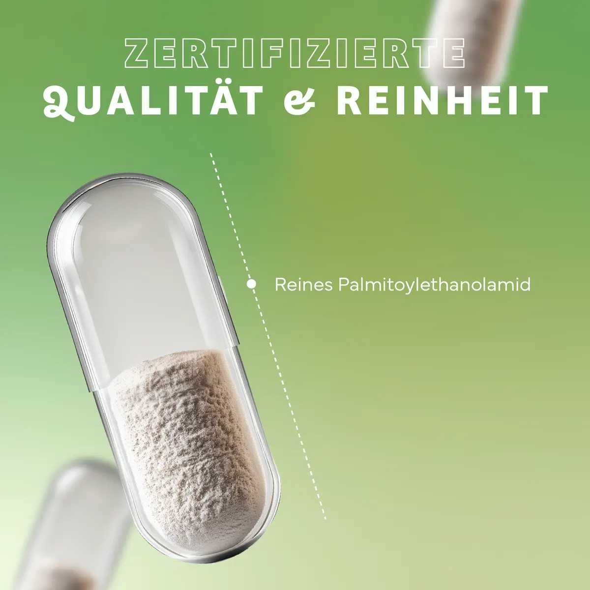 shopware AG PEA capsules - palmitoylethanolamide, 90 capsules  EAN: 4260635734008