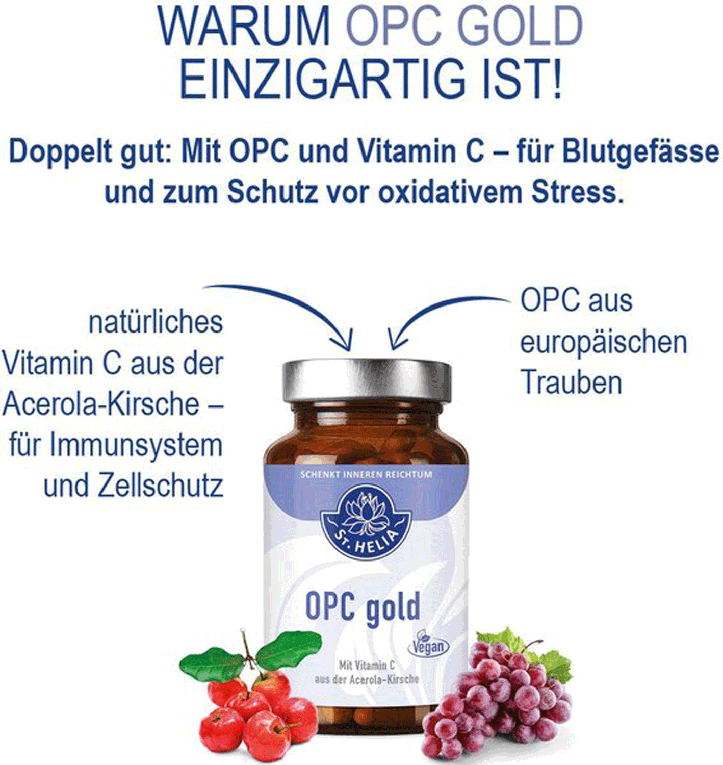 Orthoaktiv mit Vitamin C, Kollagen und MSM, 90 Tabletten