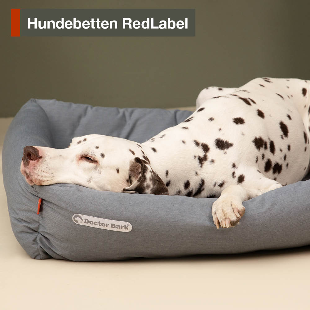 Dalmatiner auf Doctor Bark Hundebett