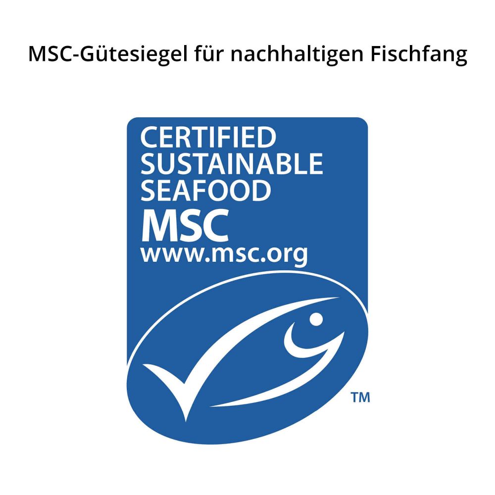 MSC Markenzeichen
