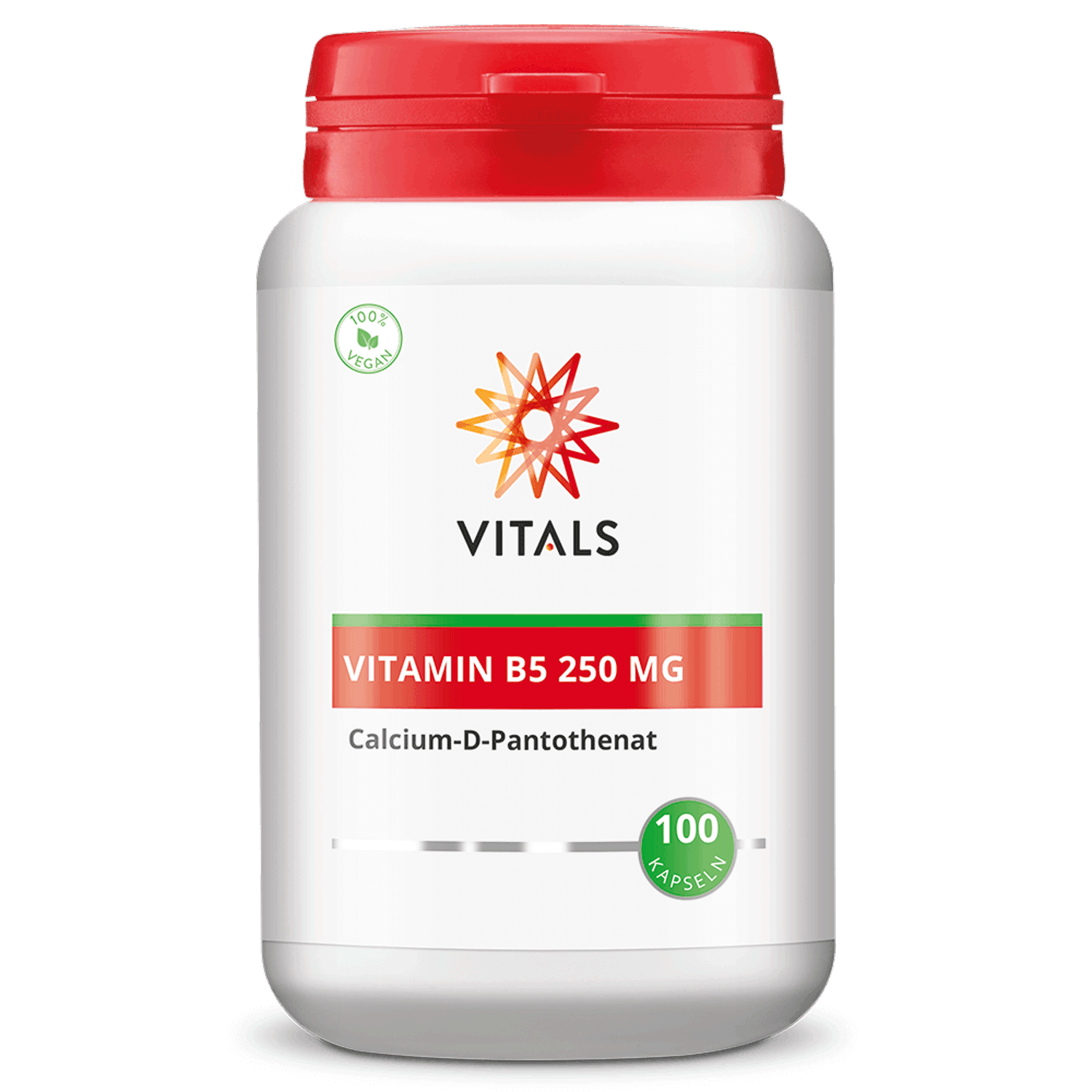 Vitals Vitamin B5 250 mg, 100 Kapseln  EAN: 8716717000838