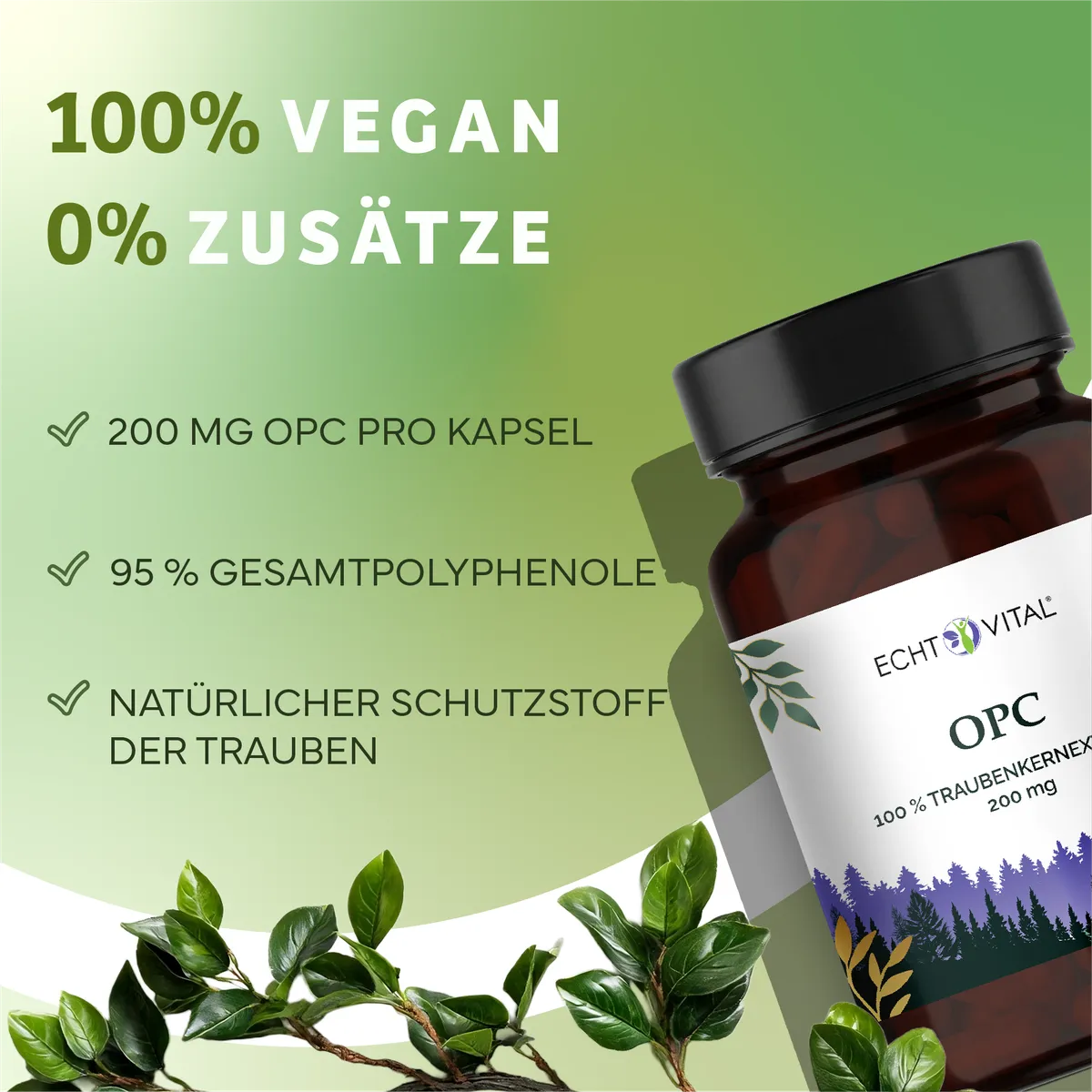OPC 200 mg, 60 Kapseln