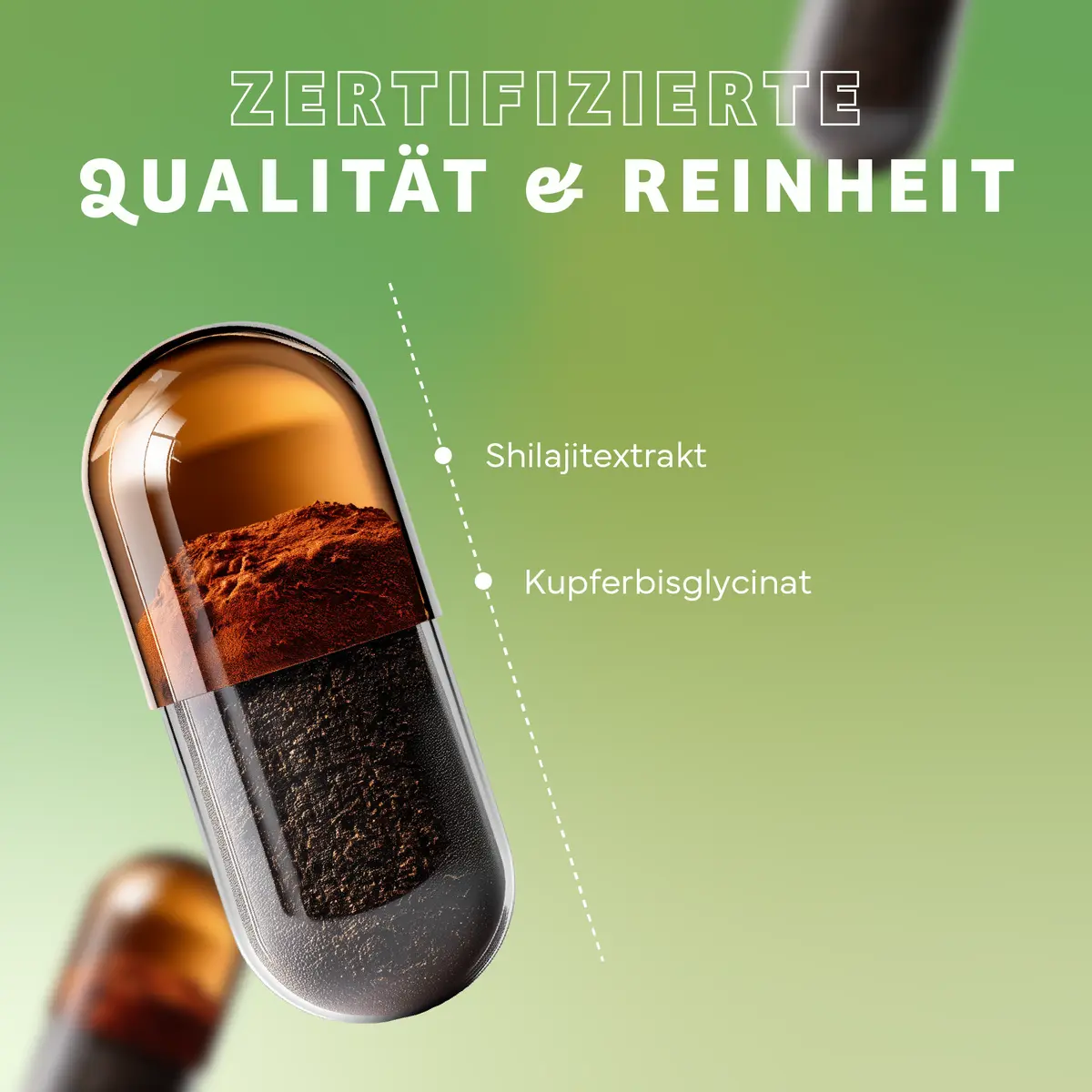 Echt Vital Mumijo Shilajit plus Kupfer, 60 Kapseln  EAN: 4260635734053