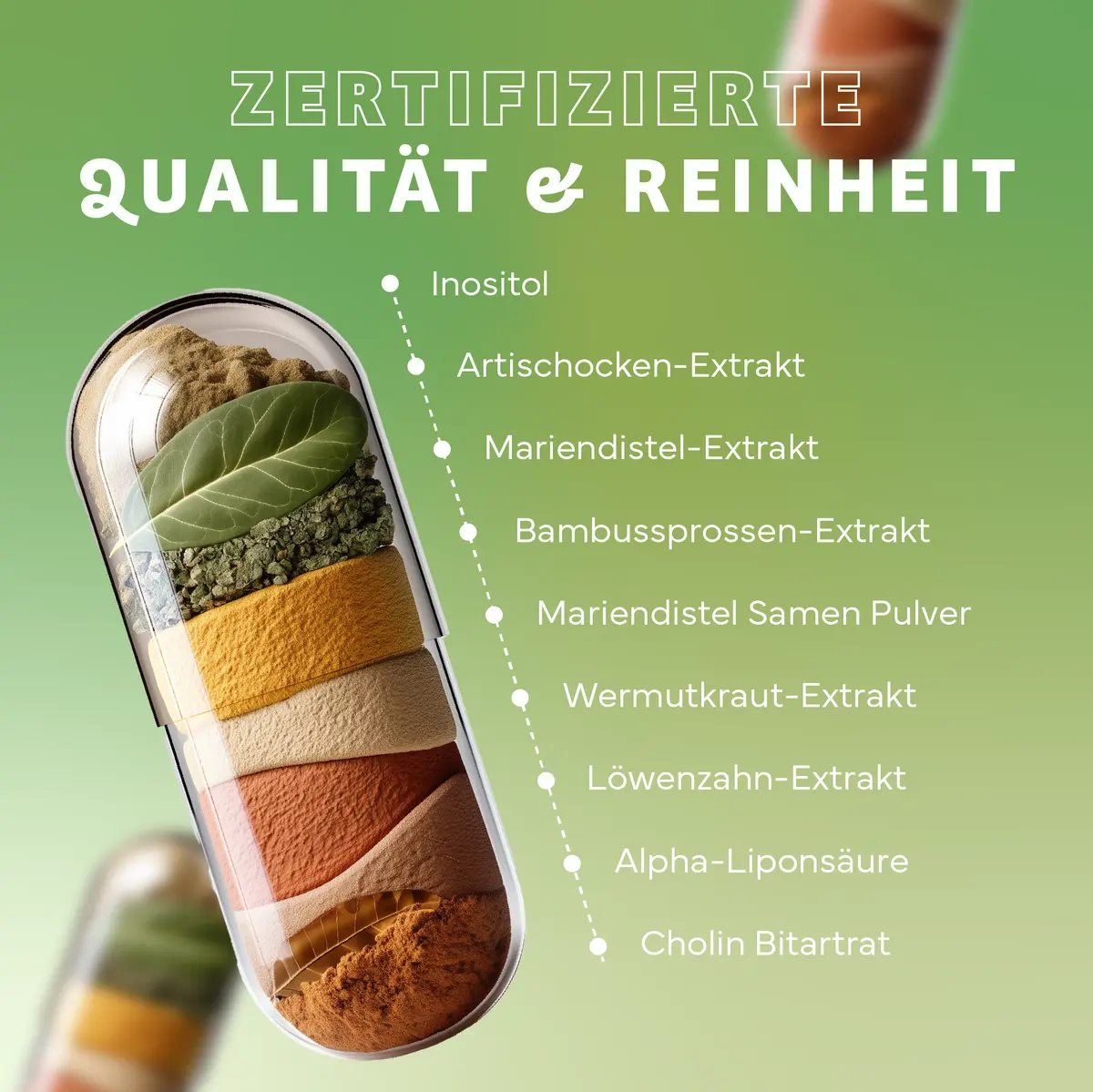 Echt Vital Leber Vital mit Cholin, 60 Kapseln  EAN: 4260635731519