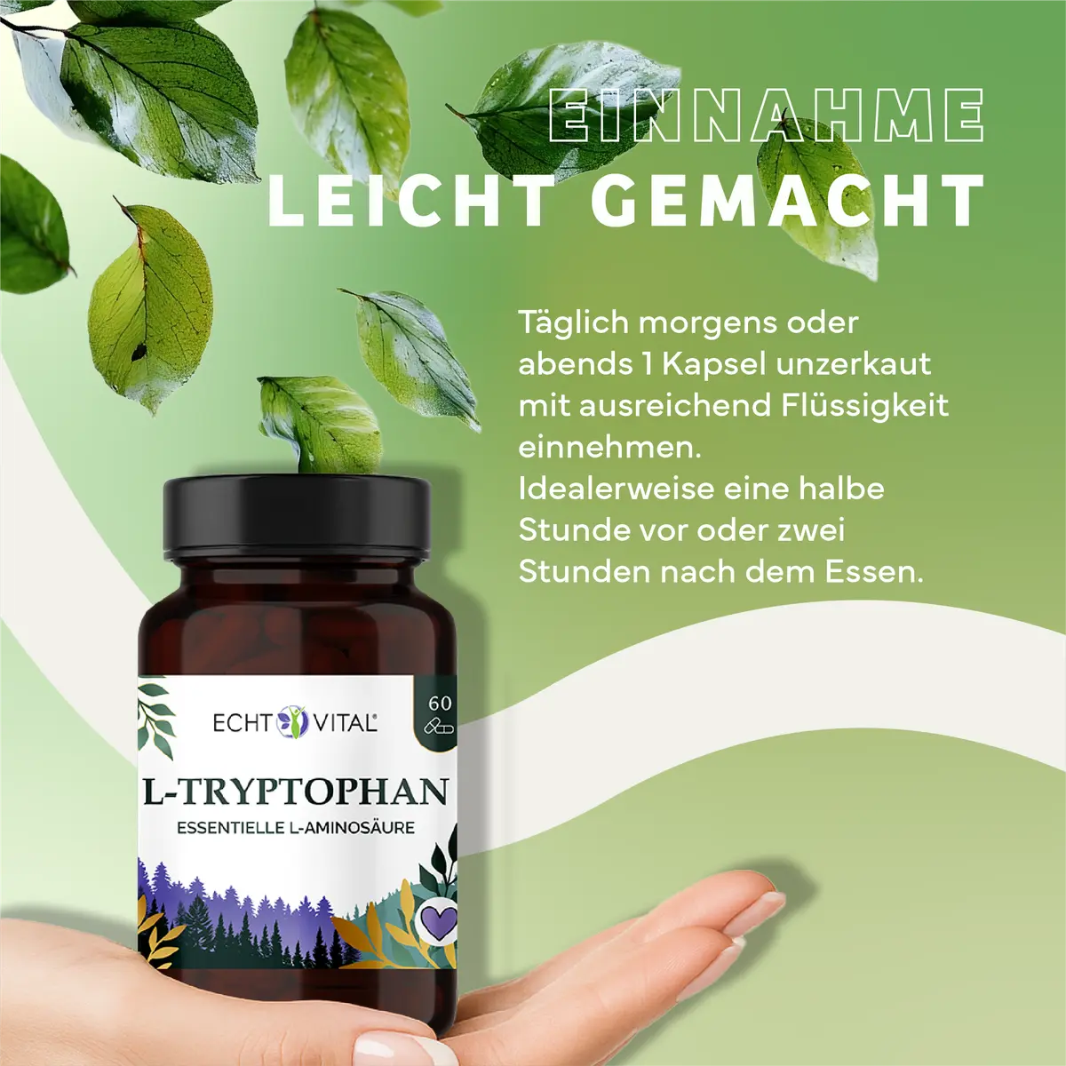 Echt Vital L-Tryptophan, 60 Kapseln L-Tyrosin Aminosäuren Tyrosin Aminos EAN: 4260635732950