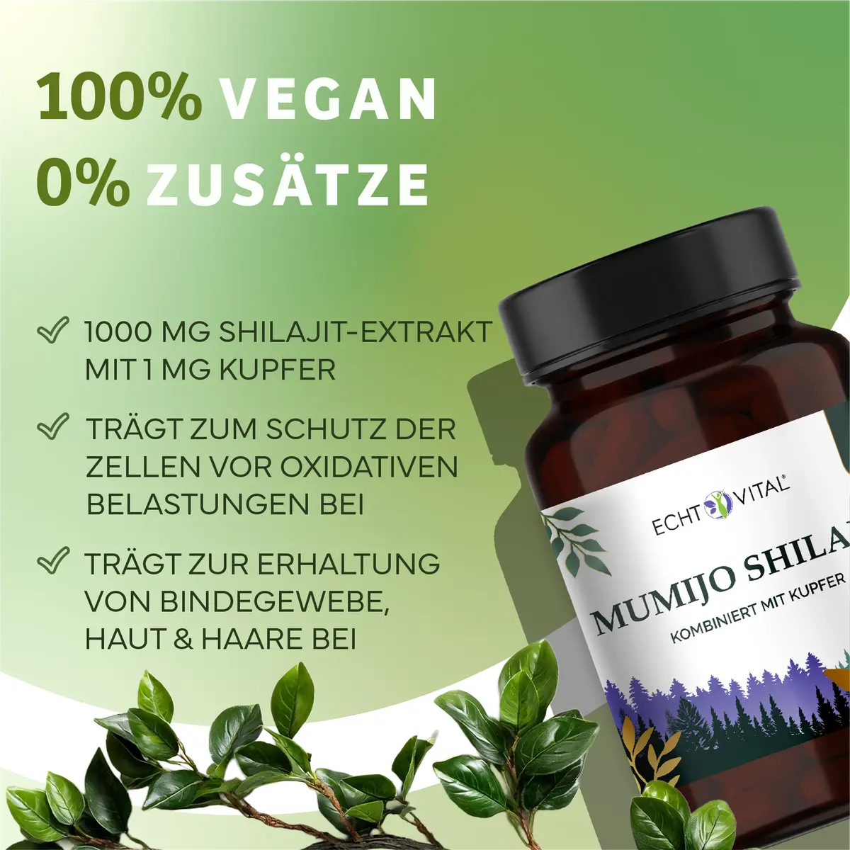 Echt Vital Mumijo Shilajit plus Kupfer, 60 Kapseln  EAN: 4260635734053