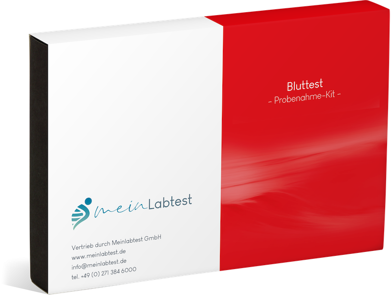 Ferritin (Bluttest auf Eisenmangel)