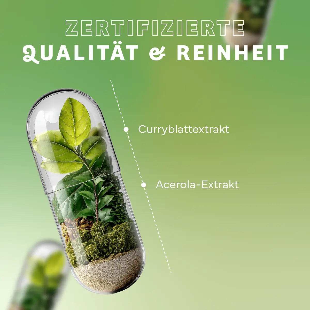 Echt Vital Ijzer uit kerrieblaadjes met acerola, 60 capsules  EAN: 4260635731281
