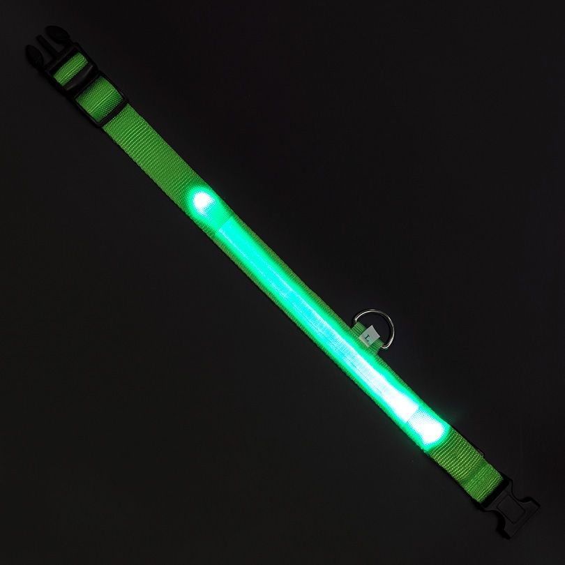 Leuchthalsband L grün