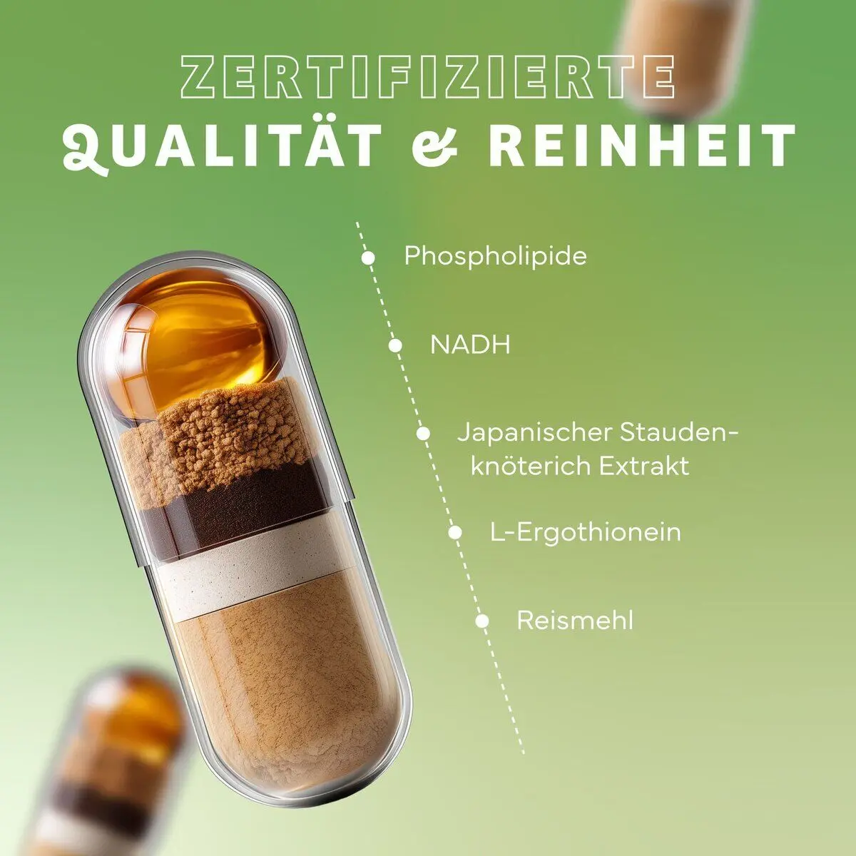 Echt Vital Prote-X-tor met L-ergothioneïne, 60 capsules  EAN: 4260635732691