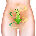 Microbiotics Microbiotics