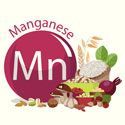 Mangan