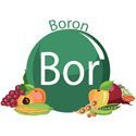 Bor