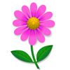 Blüten